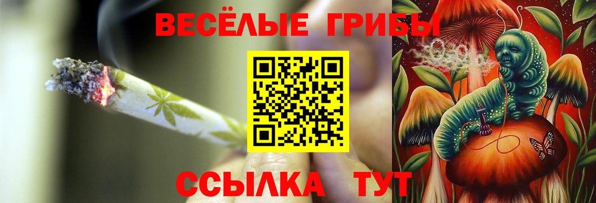 закладка  Вход с VPN  Серпухов  Псилоцибиновые грибы Magic Shrooms 